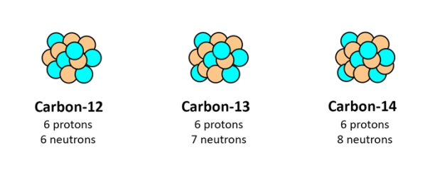 Ba dạng đồng vị của carbon, trong đó C12 chiếm tỉ lệ nhiều nhất, số hiệu nguyên tử Z = 12, gồm 6 protons và 6 electrons.